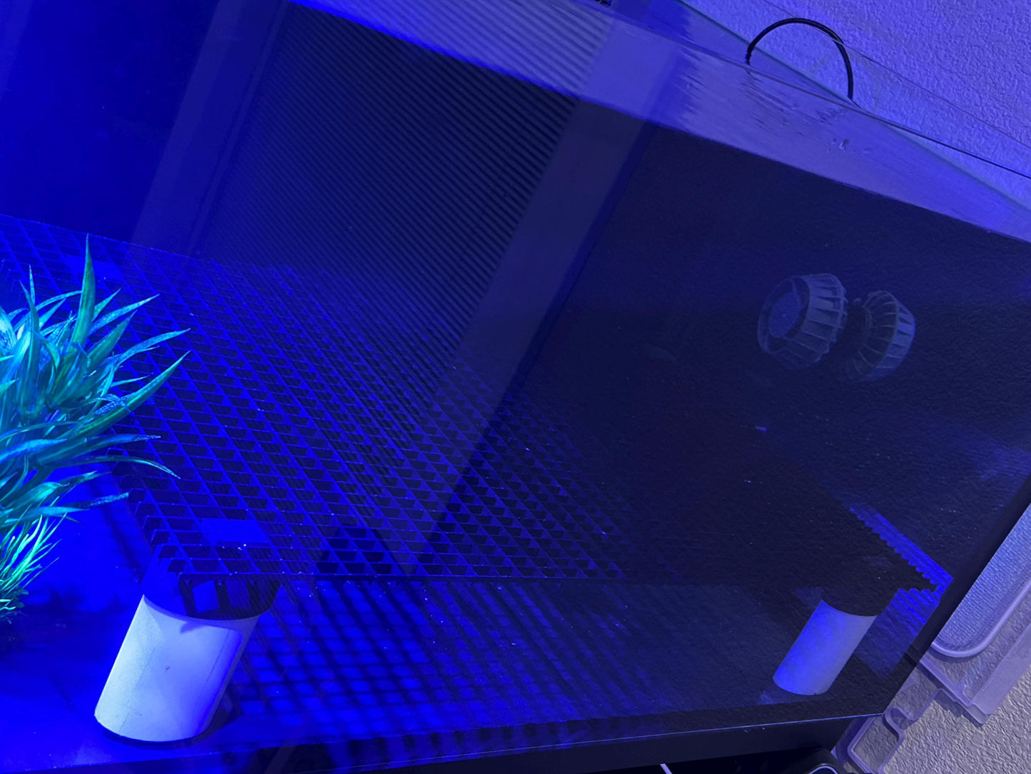 Coral frag rack legs for egg crate - for 2” and 1” pvc