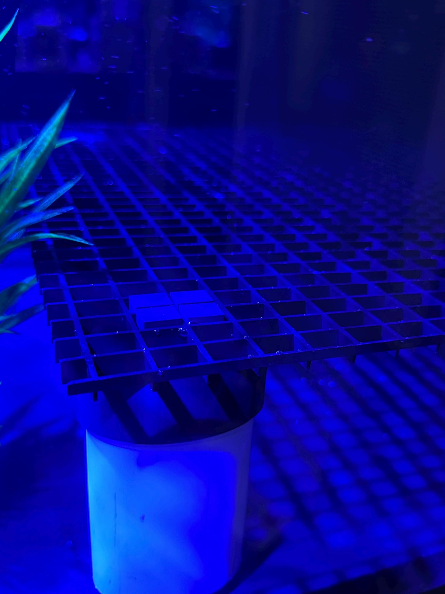 Coral frag rack legs for egg crate - for 2” and 1” pvc