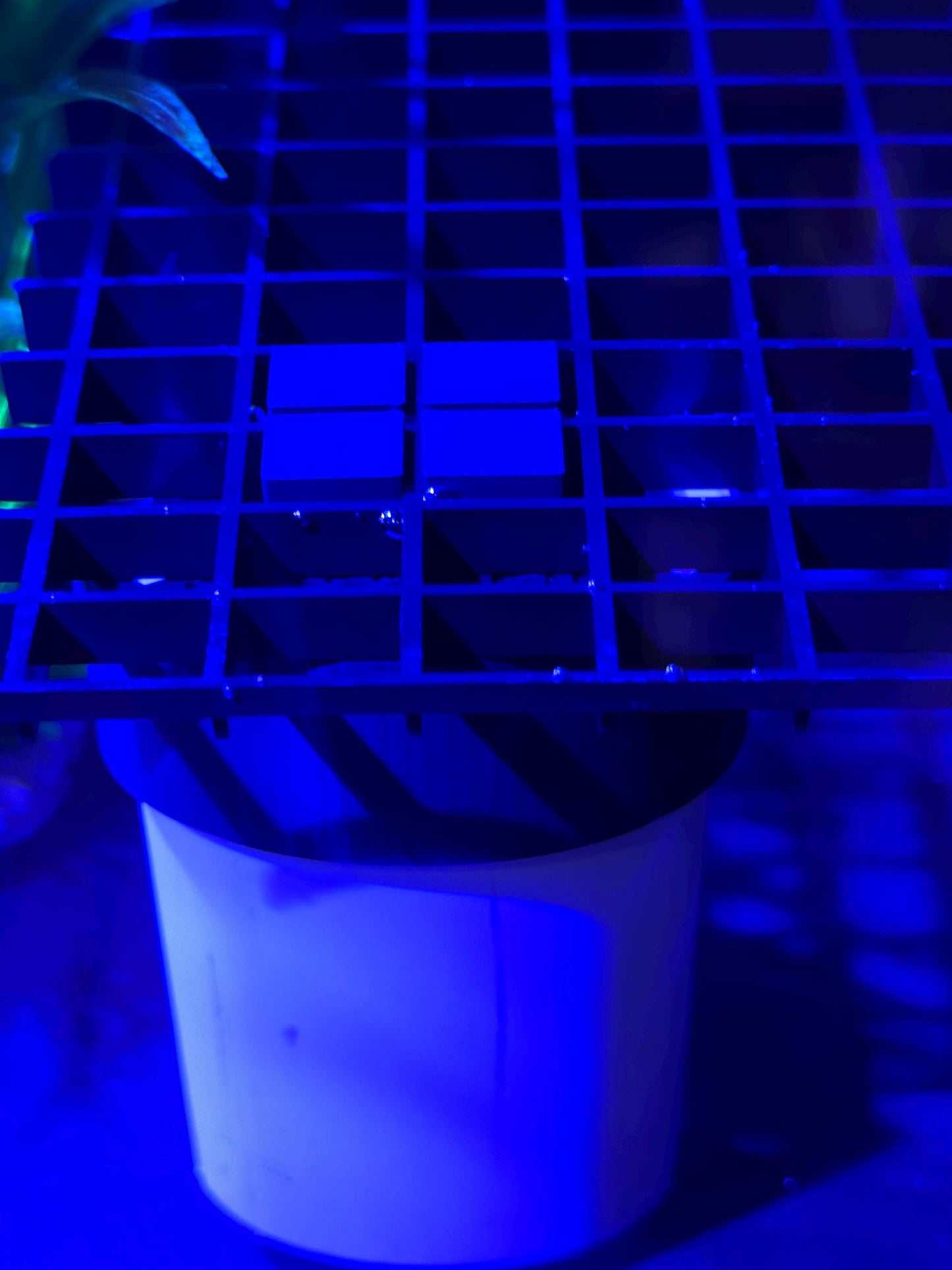 Coral frag rack legs for egg crate - for 2” and 1” pvc