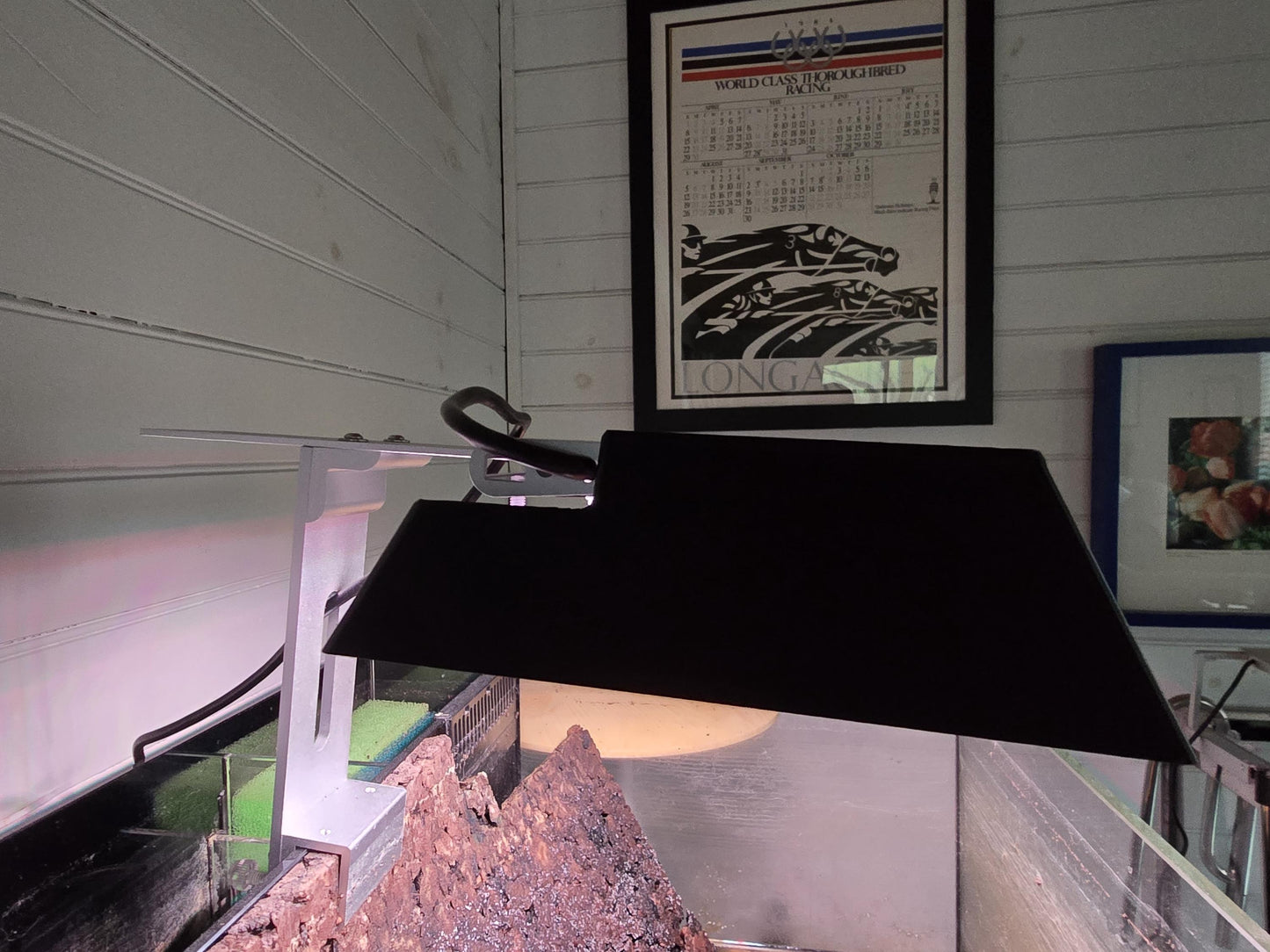 MicMol G3 300 Aqua Air Angled Light Shade