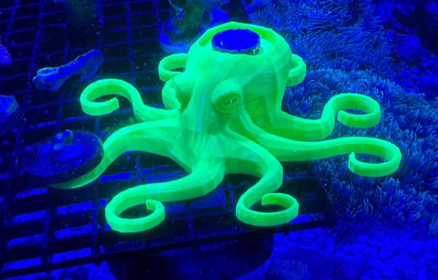 Octopus Frag Rack - encrusting coral holder + 7 frags in tentacles